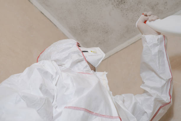 Best Commercial Mold Removal  in Hapeville, GA